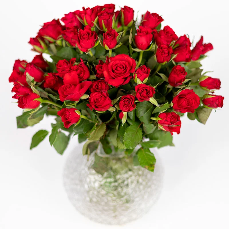Rosas rojas para San Valentín