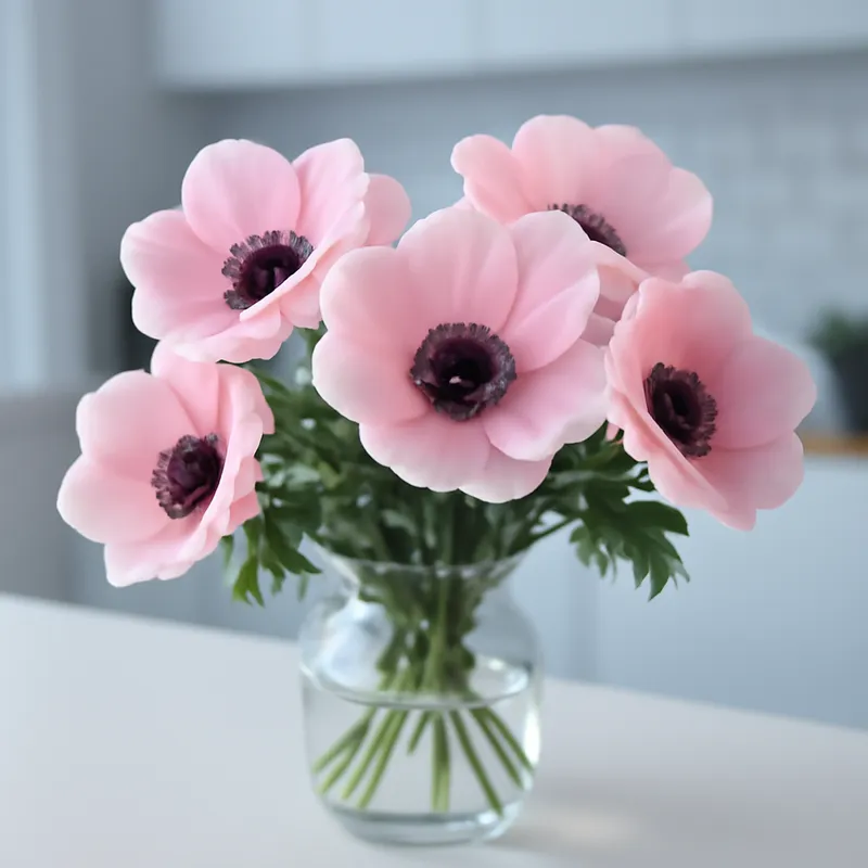 Anémona rosa - imagen 3