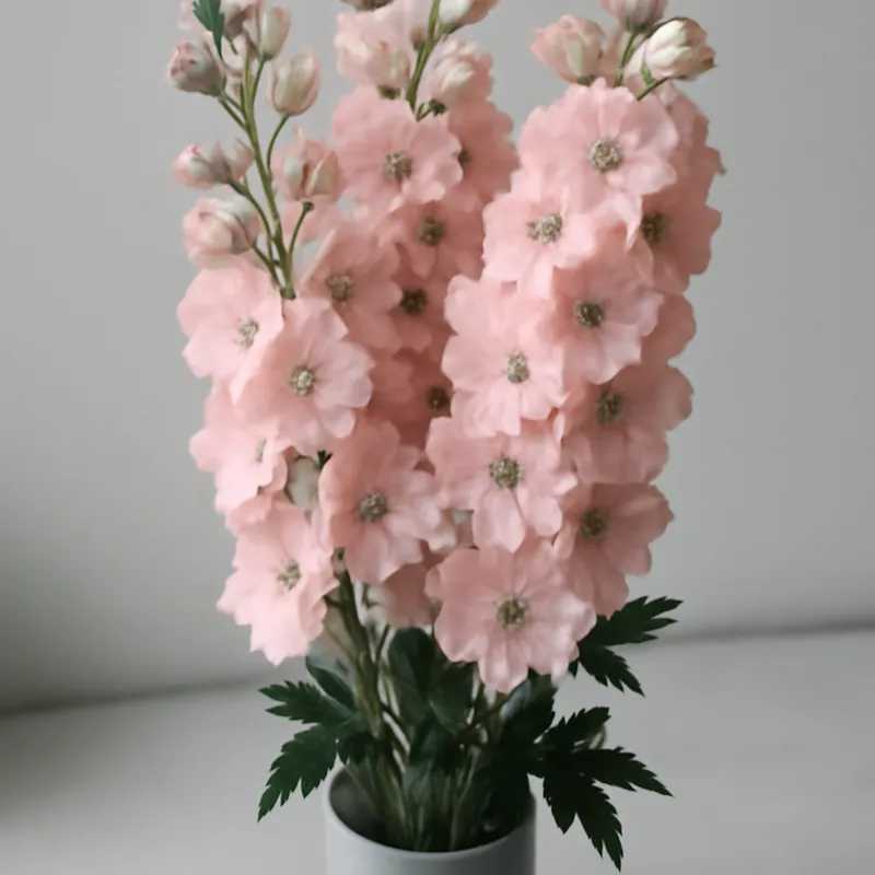 Espuela de caballero rosa - imagen 3