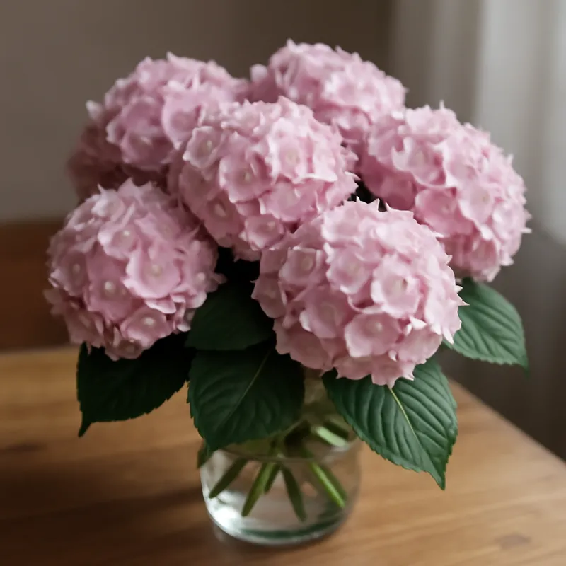 Hortensia clásica - imagen 3