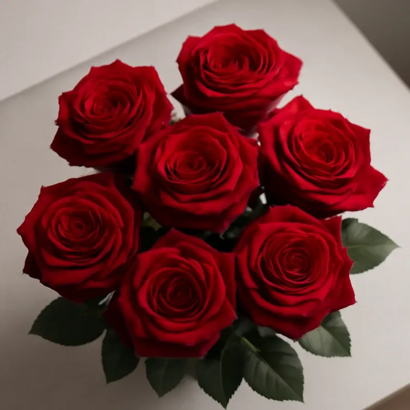 Rosa roja - imagen 3